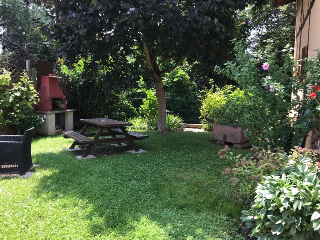 Gite de la Streng Ribeauvillé Extérieur photo